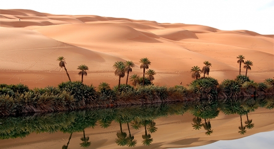 Sellers: Your House Could Be an Oasis for Buyers Seeking More Options | Simplifying The Market