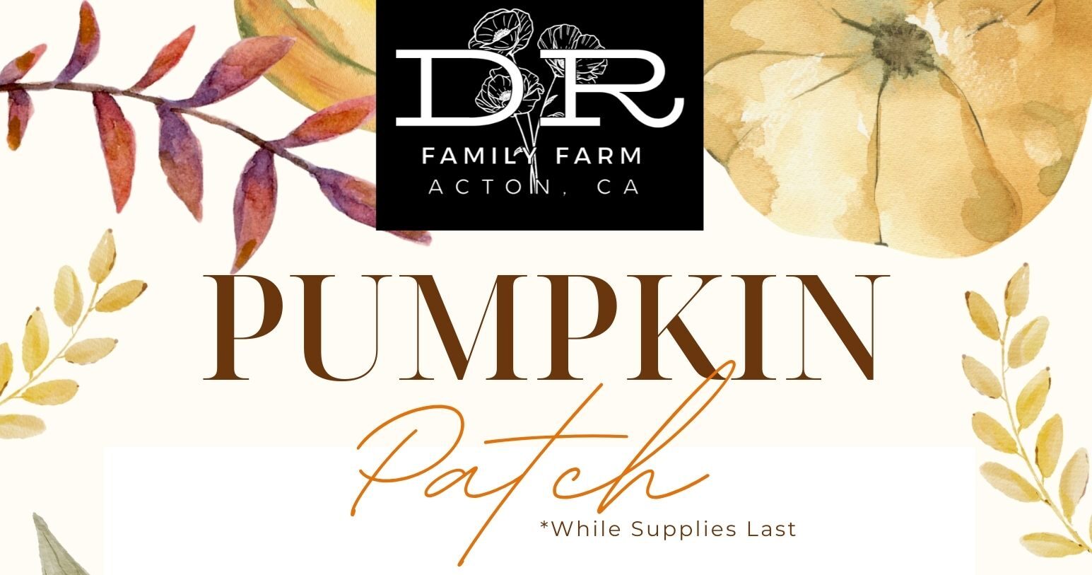 10.04,11,18,25-PumpkinPatch
