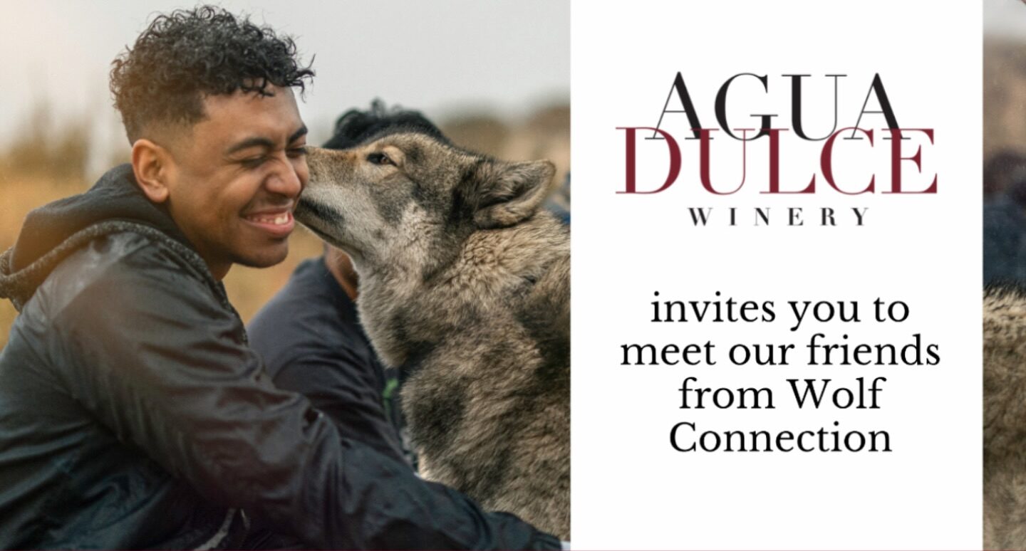 Meet the wolves at Agua Dulce Winery!