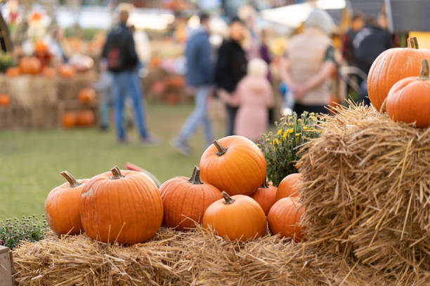 istockphoto-1431335872-612×612